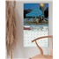 Cow 2026 Wall Calendar WCA100551